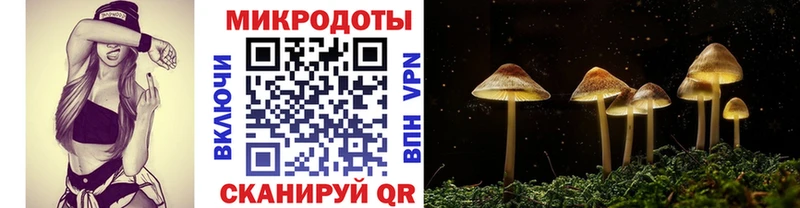 Галлюциногенные грибы Cubensis Богучар
